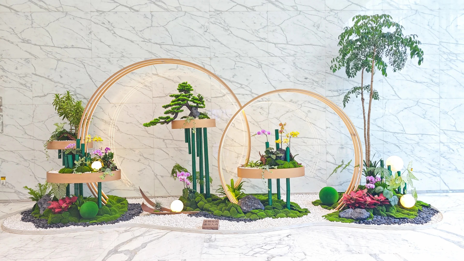 专业镇海植物租赁,让绿植焕发生机